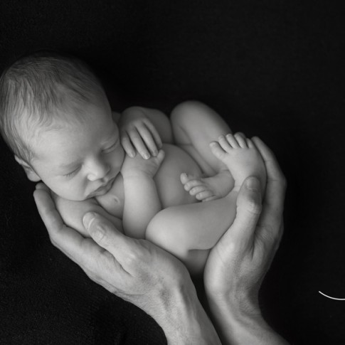 Black and white image of newborn baby boy in his dad's hands