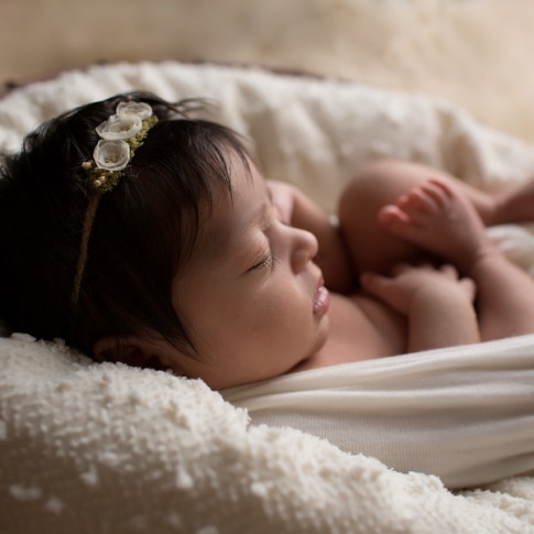 Apex newborn photographer