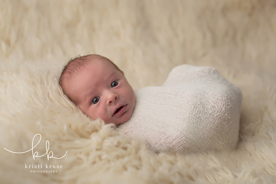Cary Apex baby photography