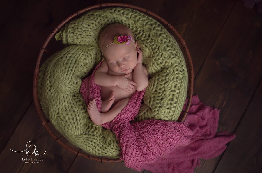 Apex Cary newborn photographer