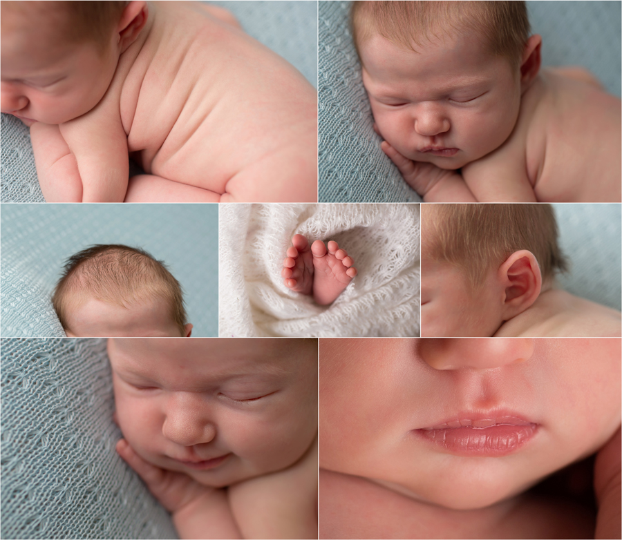 Apex newborn photographer