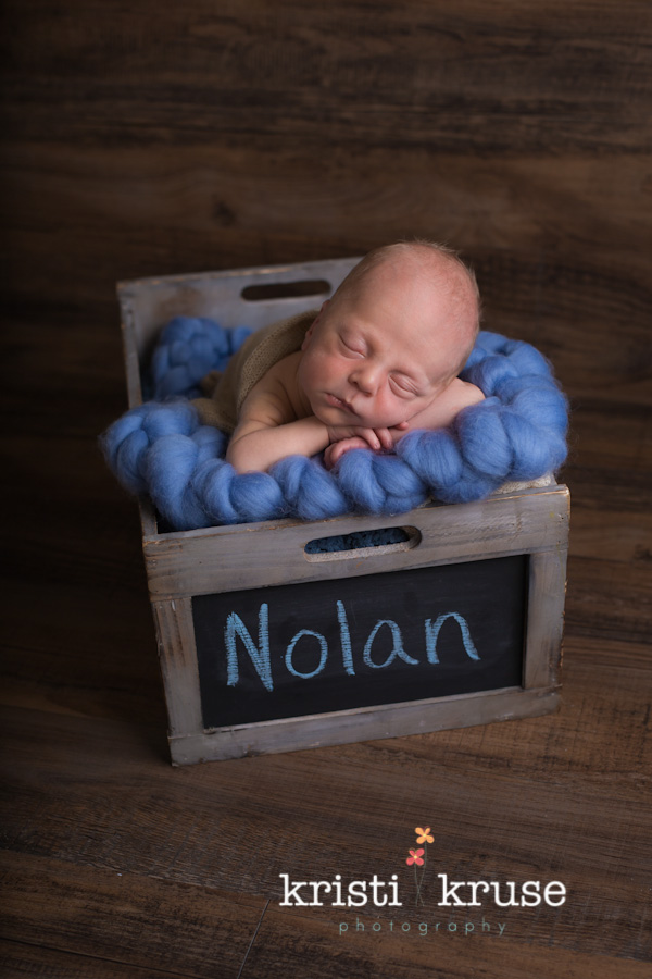 Cary newborn photographer