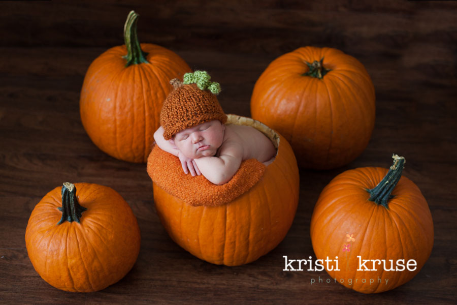 Raleigh newborn pumpkin patch photo