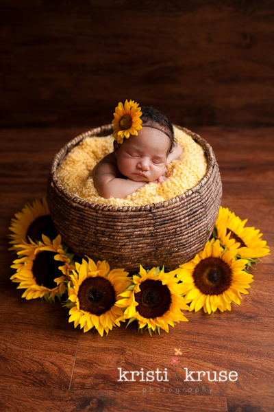 newborn sunflower picture