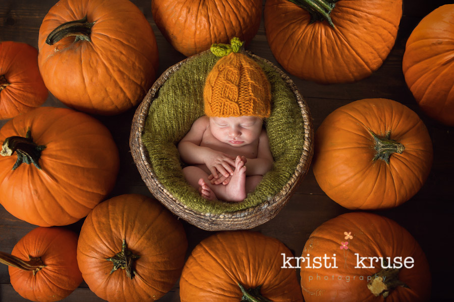 newborn pumpkin photo